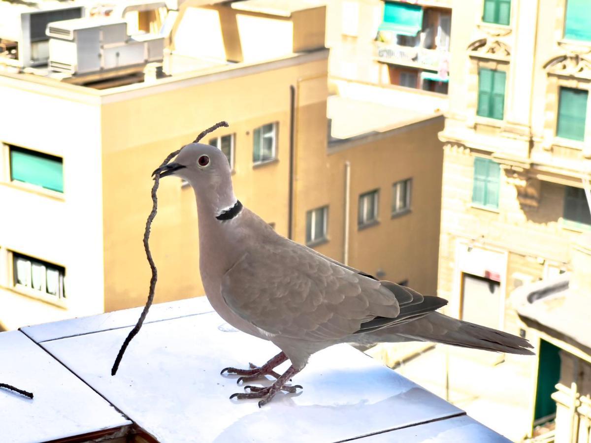 Home Sweet Home Nel Cuore Di Genova ภายนอก รูปภาพ